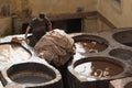 FEZ, MOROCCO Ã¢â¬â FEBRUARY 20, 2017 : Man working at the famous Chouara Tannery in the medina of Fez, Morocco Royalty Free Stock Photo